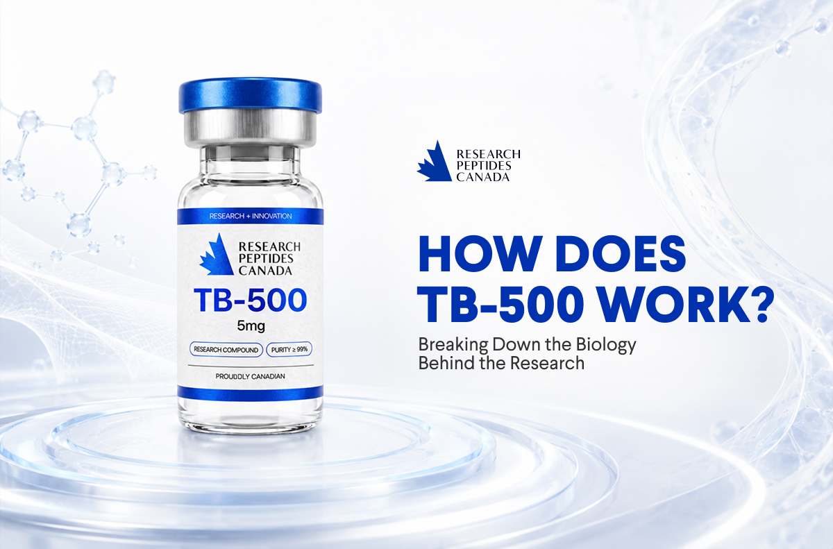 how-does-tb-500-work