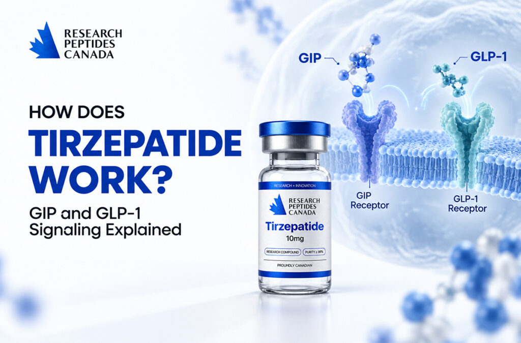 how-does-tirzepatide-work