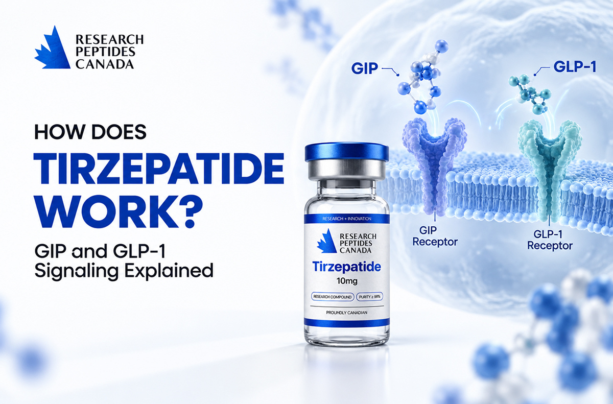how-does-tirzepatide-work